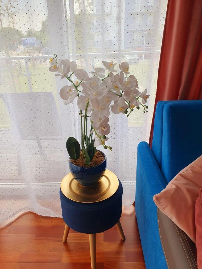 Apartament Comfort I Kolobrzeg Exterior photo